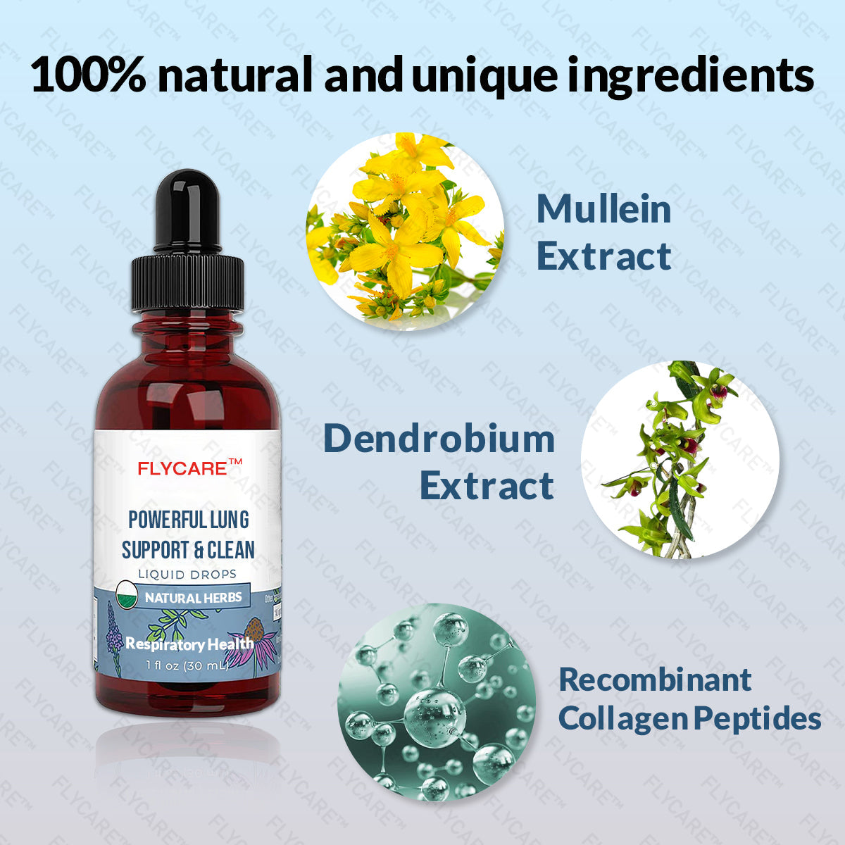 FLYCARE™ Herbal Lung Care Drops - Powerful Lung Support & Cleanse & Respiratory - Made in USA 🌿