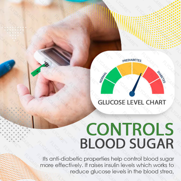 FLYCARE™ Blood Sugar Health & Wellness Series